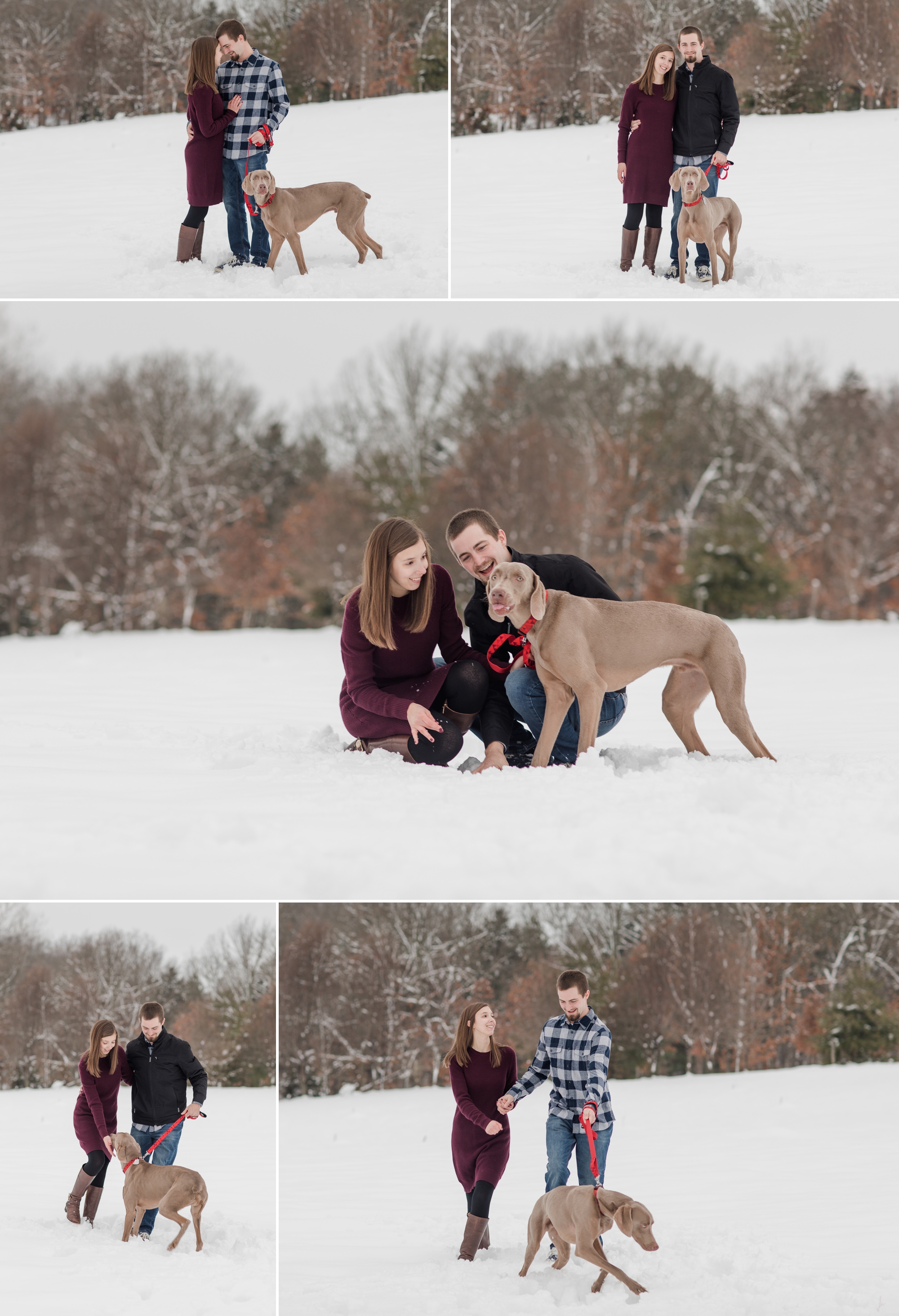 snowy engagement session couple posing with a Weimaraner 