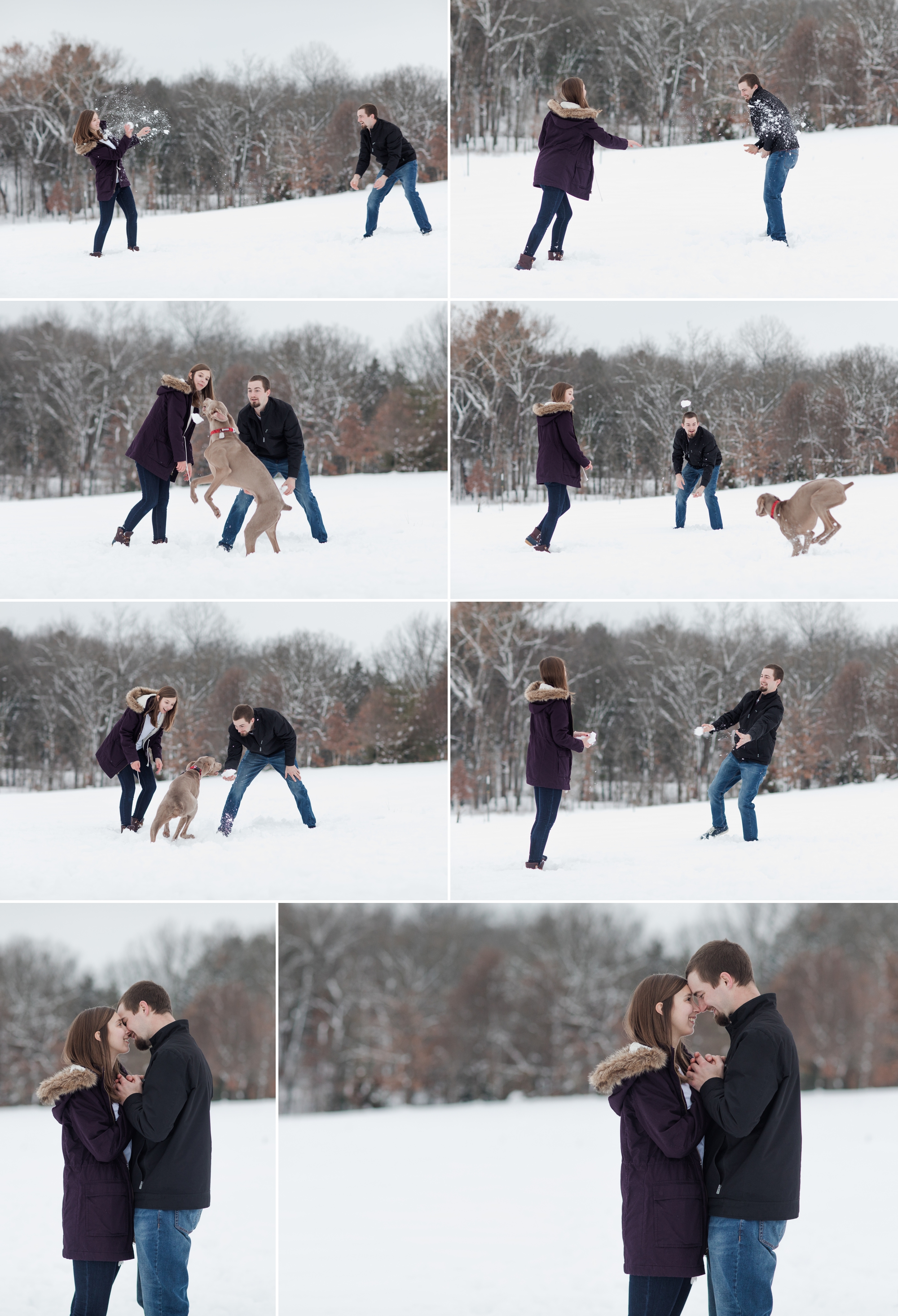 snowy engagement session couple in a snow ball fight with a Weimaraner