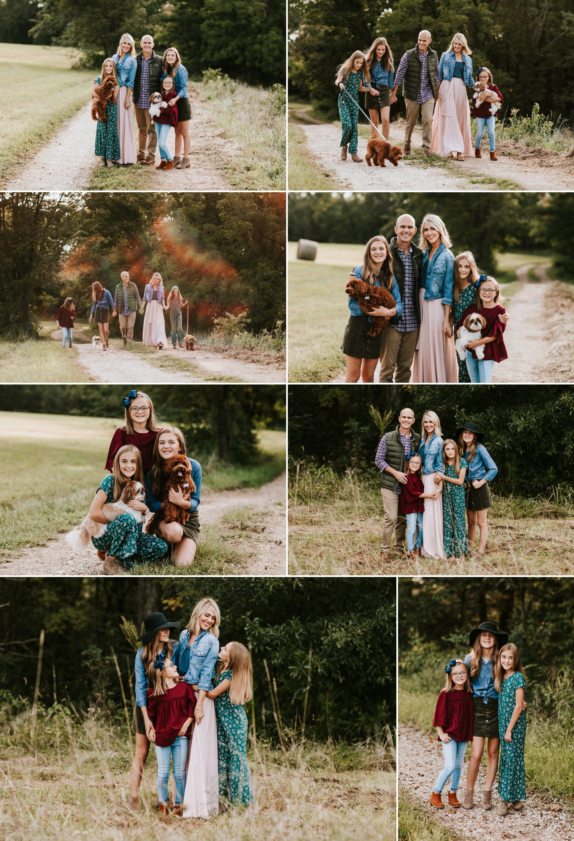 Evening family session with 3 girls and two dogs in a rural setting shot by Dana Marquart at Photogenics on Location.
