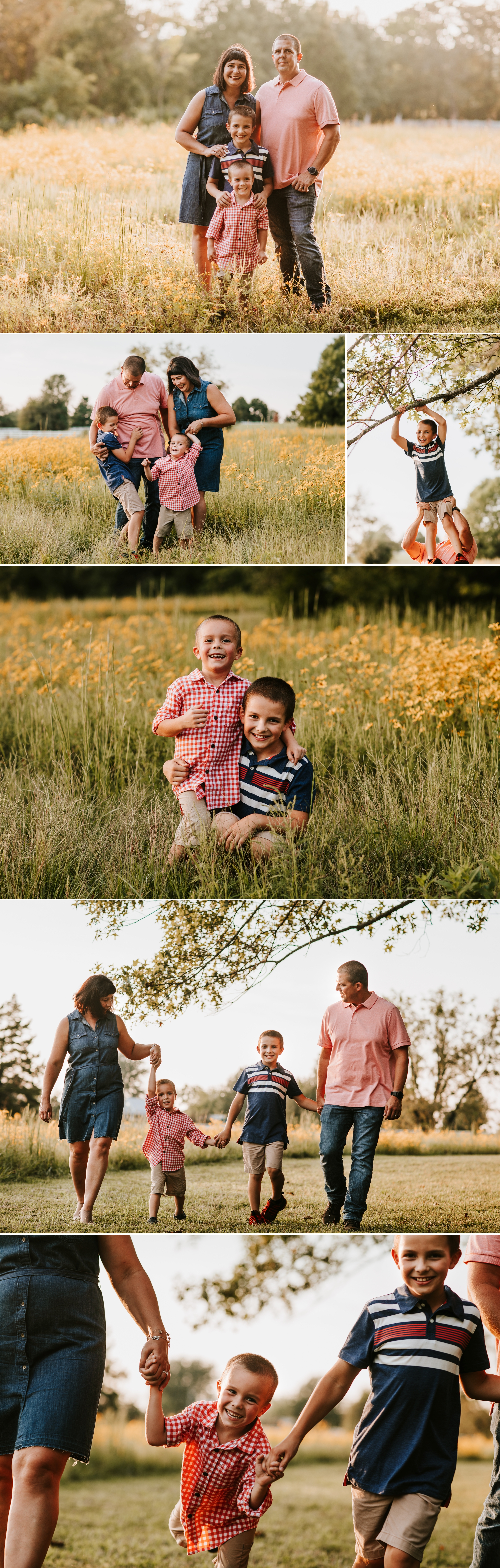Image of a sunset family session in a field taken by Dana Marquart at Photogenics on Location.