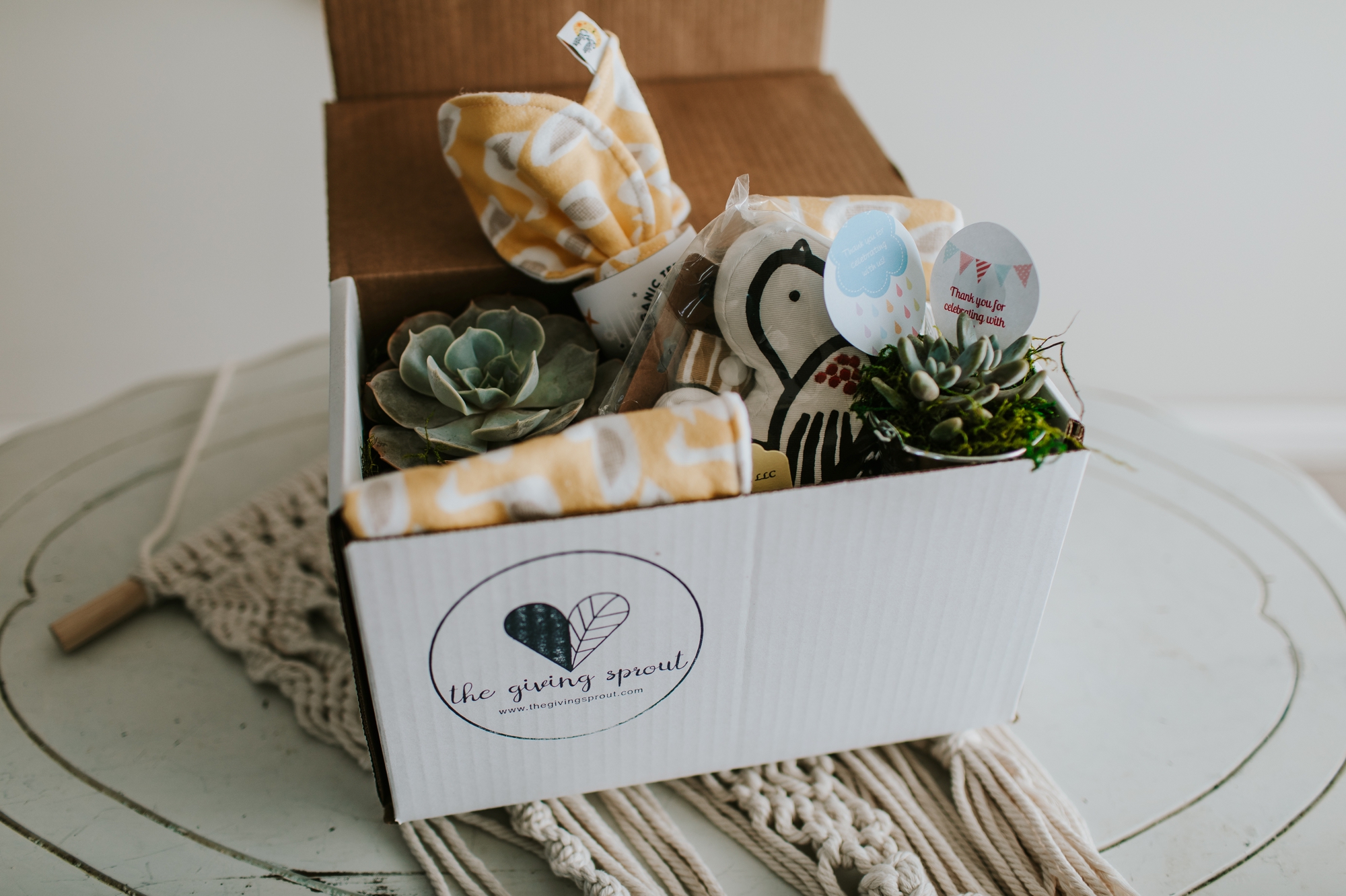 Giving Sprout gift basket newborn maternity photographer 63090