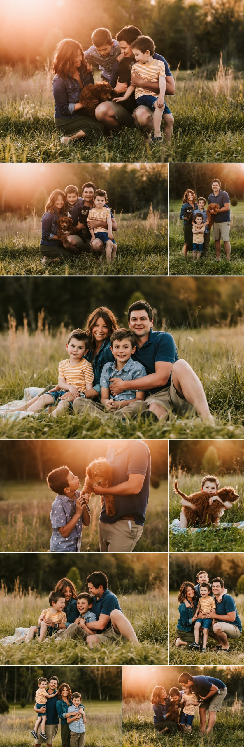 sunset outdoor session family kids dogs grassy area photographer 63090